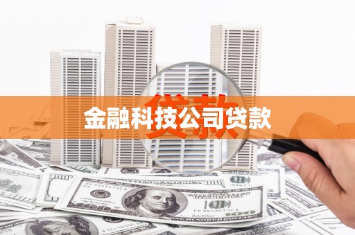 会同金融科技公司贷款