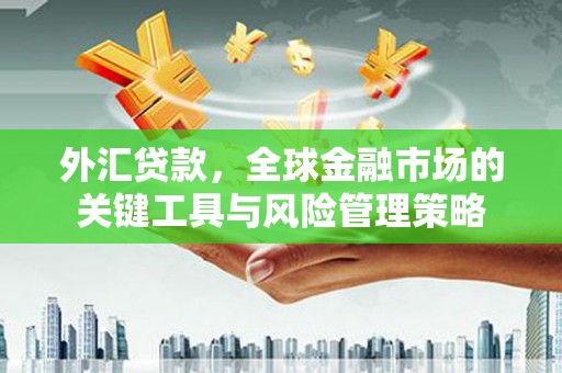 会同外汇贷款，全球金融市场的关键工具与风险管理策略