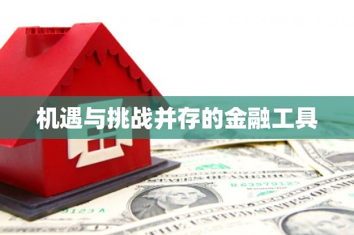 会同机遇与挑战并存的金融工具