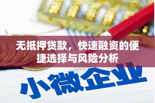 会同无抵押贷款，快速融资的便捷选择与风险分析