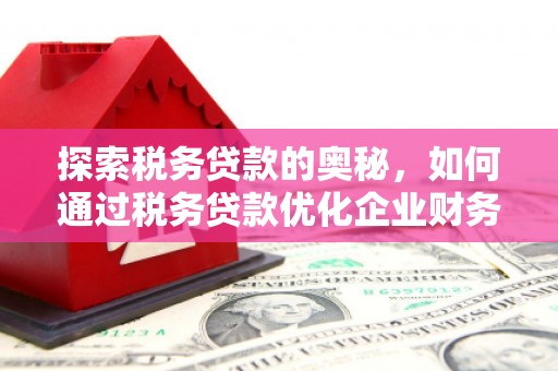 会同探索税务贷款的奥秘，如何通过税务贷款优化企业财务