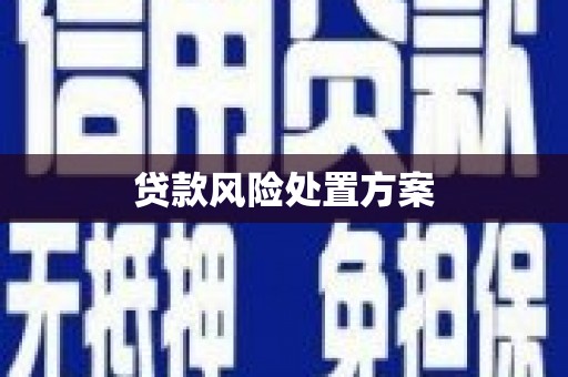 会同贷款风险处置方案