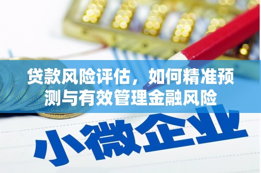 会同贷款风险评估，如何精准预测与有效管理金融风险