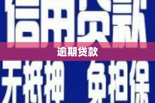 会同逾期贷款