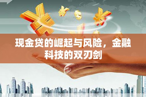 会同现金贷的崛起与风险，金融科技的双刃剑