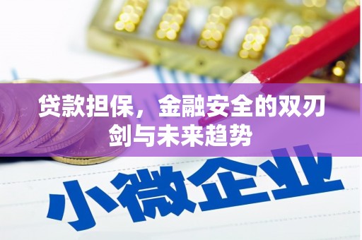 会同贷款担保，金融安全的双刃剑与未来趋势