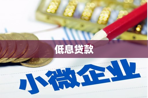 会同低息贷款