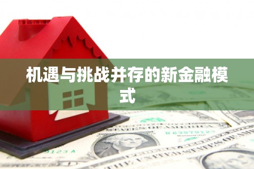 会同机遇与挑战并存的新金融模式