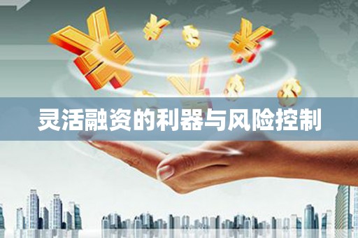 会同灵活融资的利器与风险控制