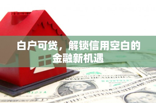 会同白户可贷，解锁信用空白的金融新机遇
