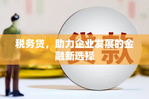 会同税务贷，助力企业发展的金融新选择