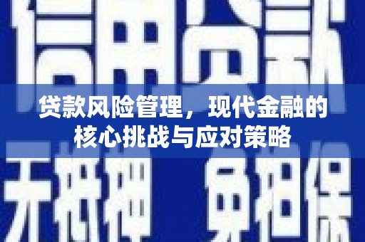 会同贷款风险管理，现代金融的核心挑战与应对策略