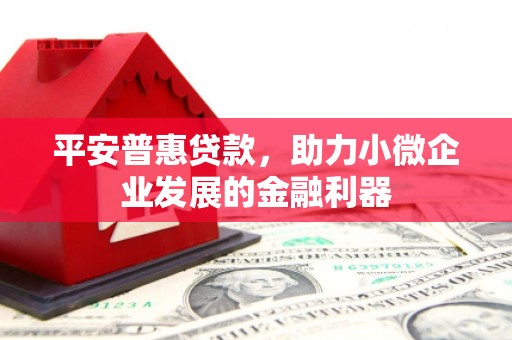 会同平安普惠贷款，助力小微企业发展的金融利器