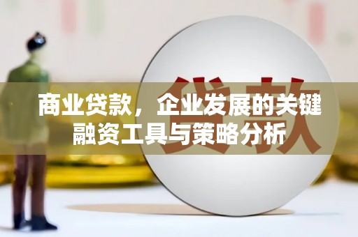 会同商业贷款，企业发展的关键融资工具与策略分析