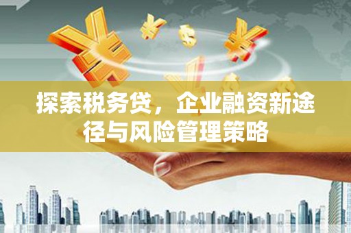 会同探索税务贷，企业融资新途径与风险管理策略