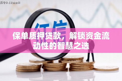 会同保单质押贷款，解锁资金流动性的智慧之选