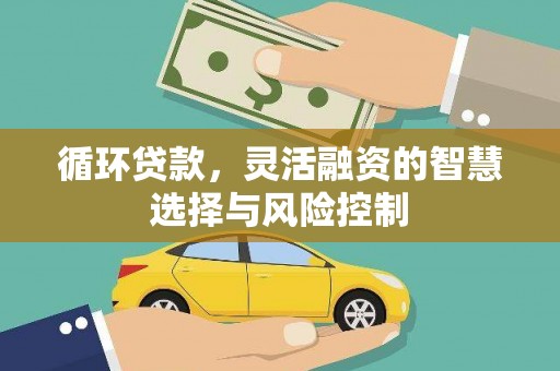会同循环贷款，灵活融资的智慧选择与风险控制