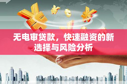 会同无电审贷款，快速融资的新选择与风险分析