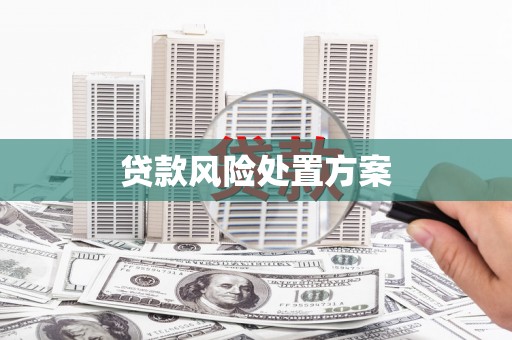 会同贷款风险处置方案