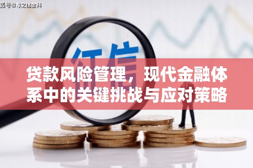 会同贷款风险管理，现代金融体系中的关键挑战与应对策略