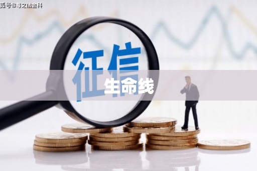 会同生命线