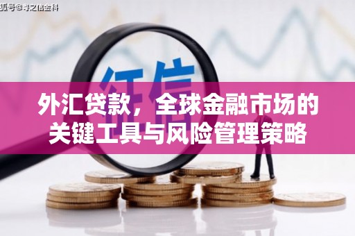 会同外汇贷款，全球金融市场的关键工具与风险管理策略