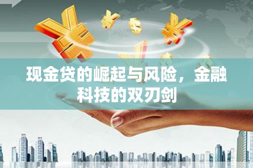 会同现金贷的崛起与风险，金融科技的双刃剑