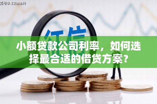 会同小额贷款公司利率，如何选择最合适的借贷方案？