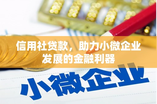 会同信用社贷款，助力小微企业发展的金融利器