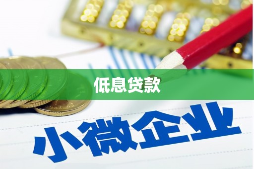 会同低息贷款