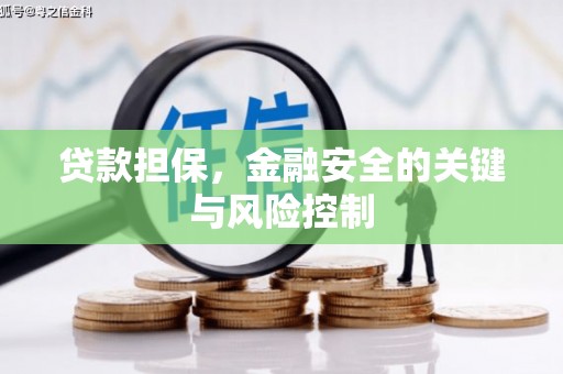 会同贷款担保，金融安全的关键与风险控制