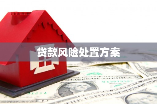 会同贷款风险处置方案