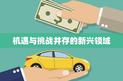 会同机遇与挑战并存的新兴领域