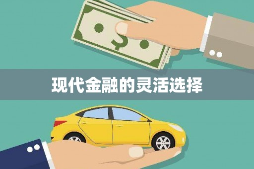 会同现代金融的灵活选择