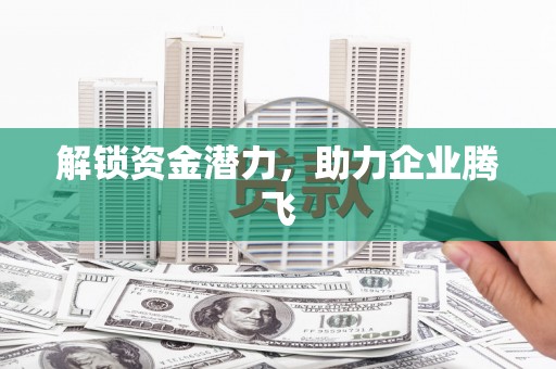 会同解锁资金潜力，助力企业腾飞