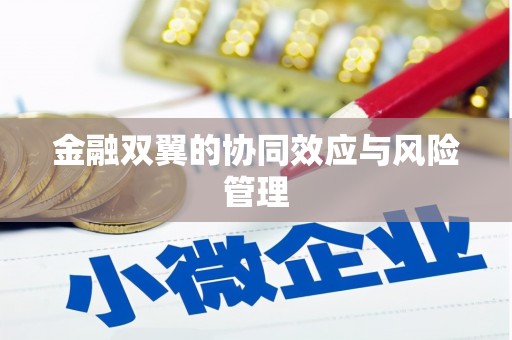 会同金融双翼的协同效应与风险管理