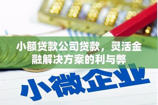 会同小额贷款公司贷款，灵活金融解决方案的利与弊