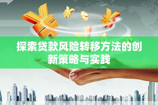 会同探索贷款风险转移方法的创新策略与实践