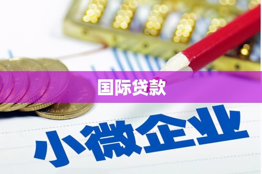 会同国际贷款